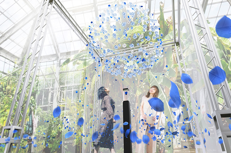 京成バラ園オータムローズパーティ2020～バラと遊び・極上のひととき～のイベントに当社作品が出展されます。