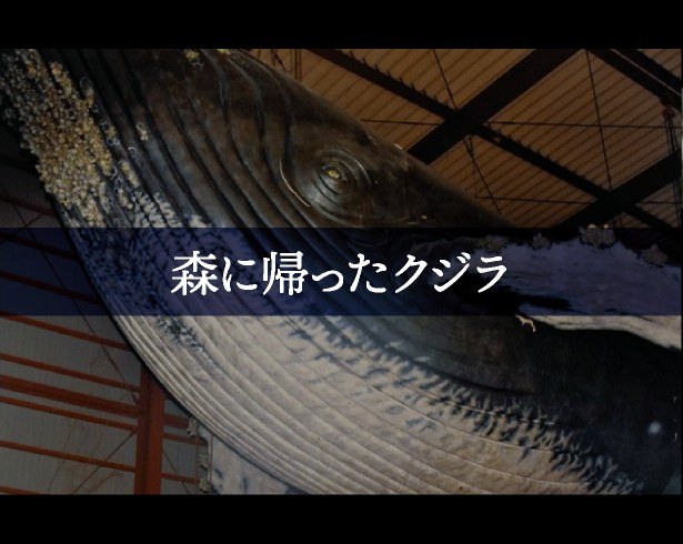 森に帰ったクジラ